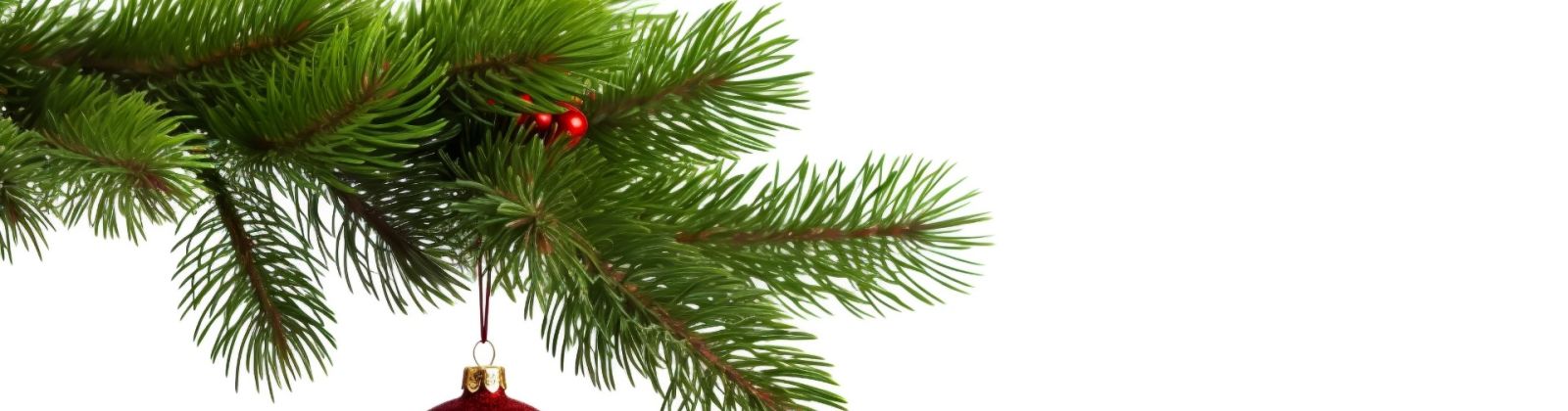 Catering Weihnachten