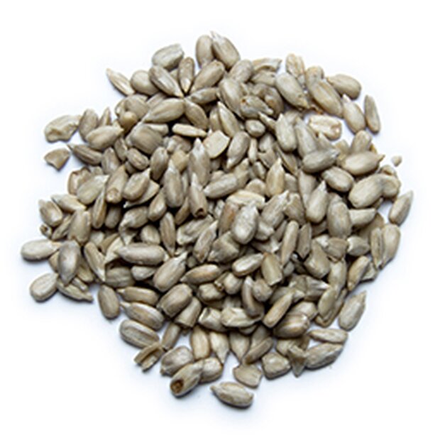 Sonnenblumenkerne
