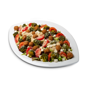 Platte Falafel Veggie Salat