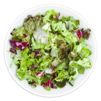 Salat Mix